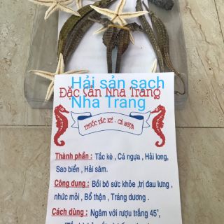 Hải long/Rồng biển 5 con