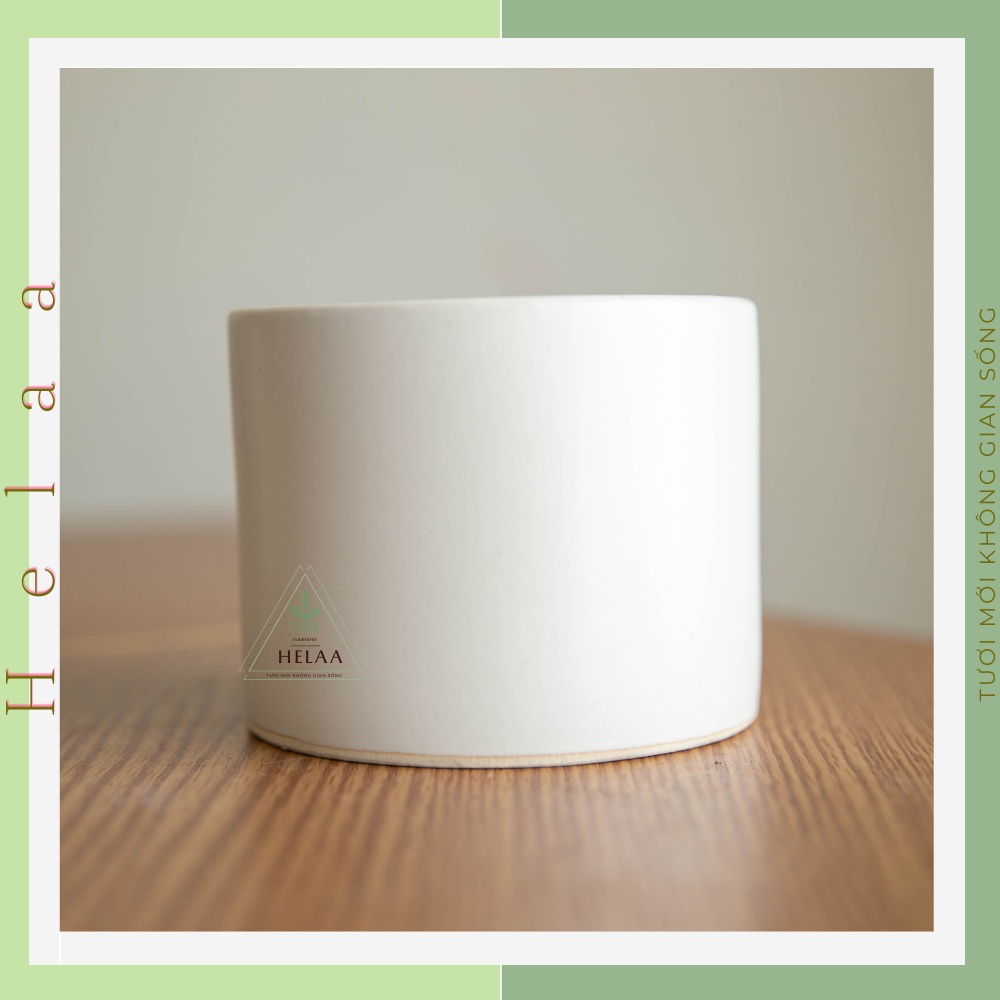 Chậu Sứ Trồng Cây Hình Trụ Để Bàn, Chậu Trồng Sen Đá, Xương Rồng, Trang Trí Bàn Làm Việc Văn Phòng