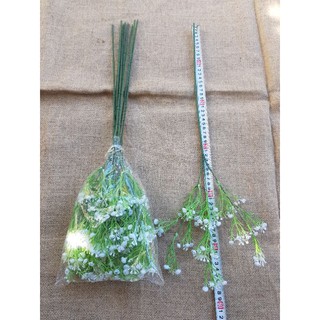 điểm bi cành dài 60cm