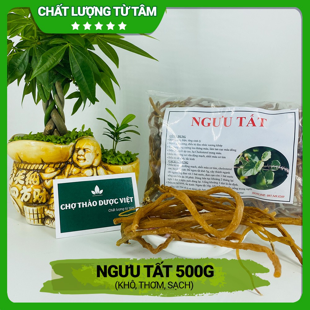 Ngưu tất nam 500g thơm, sạch - Chợ Thảo Dược Việt