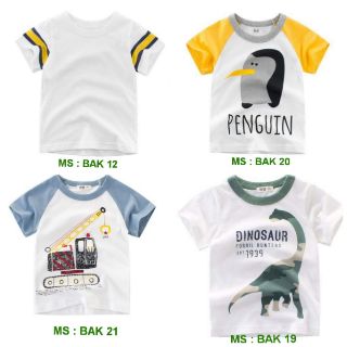 Combo 3 áo phông chất đẹp, màu sặc sỡ
