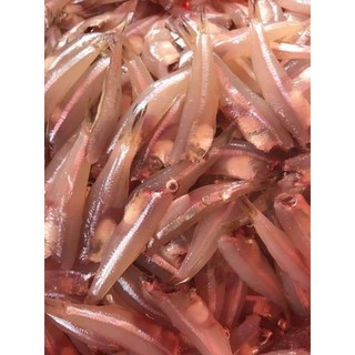 Cá cơm tươi bỏ đầu 1 kg