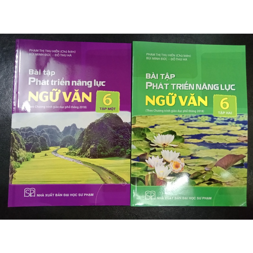 Sách Bài tập phát triển năng lực ngữ văn 6 tập 1 (SGK cánh diều)