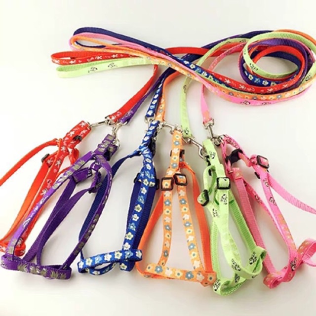 Dây dắt chó mèo + dây yếm đai yên ngựa nhỏ xinh cho chó mèo (2 size) loại 1 lớp mỏng nhẹ