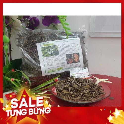 CÂY RÂU MÈO 500g - Hàng Công Ty - Đông Y Thanh Bình