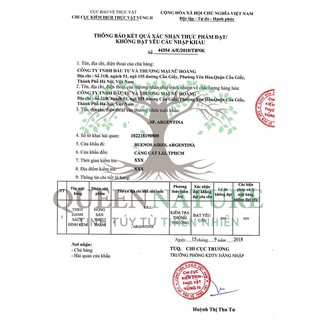 Ngũ cốc lợi sữa Queen nature