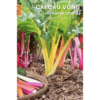 Hạt giống rau cải cầu vồng gói