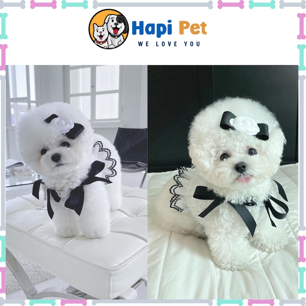 Áo Váy Ren Trắng Thời Trang Tiểu Thư Kèm Kẹp Nơ cho Thú Cưng, Chó Mèo Thiết Kế Cao Cấp Mùa Xuân HapiPet_Shop