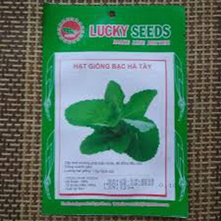 HẠT GIỐNG BẠC HÀ TÂY (0.1G)