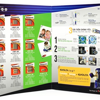 PIN Hồng Ngọc VANA