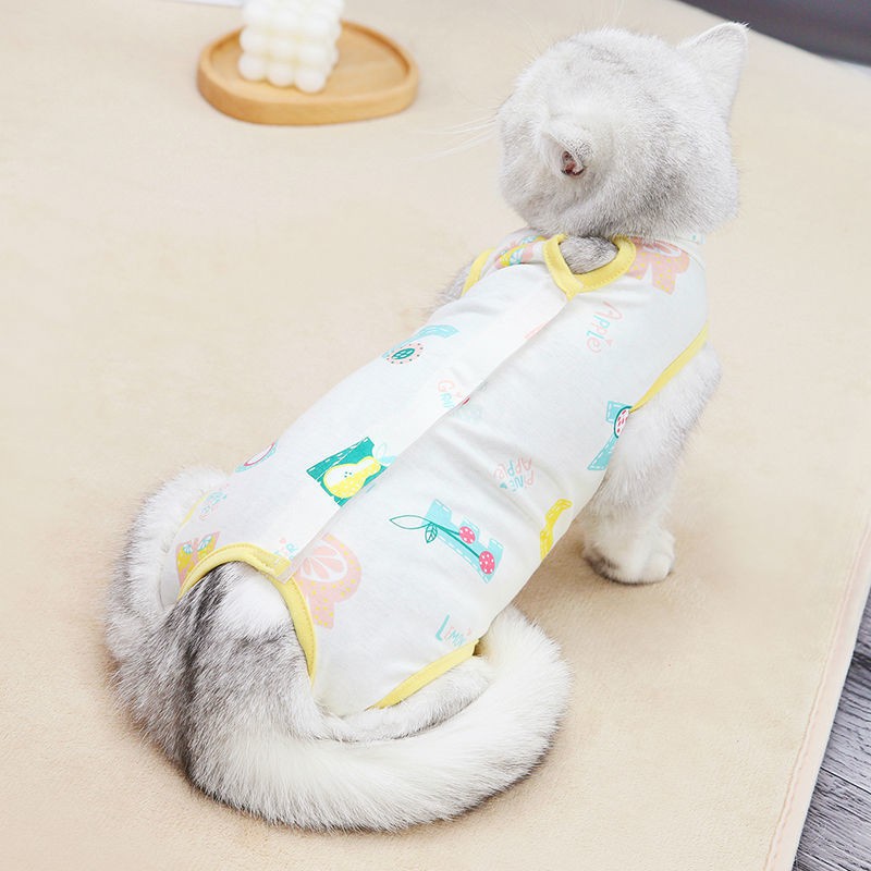 Bộ đồ triệt sản cho mèo, áo choàng phẫu thuật, chống liếm lông sau khi mùa hè mèo gầy và cái cai sữa rụng mất q