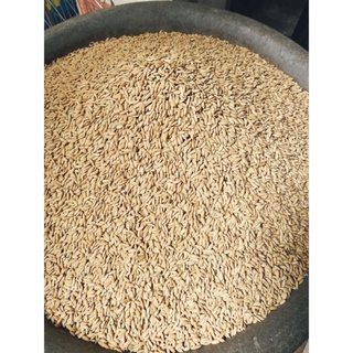 Thóc cho gà ,vẹt, cu gáy. combo 2.5kg 50k