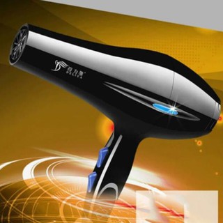 Máy sấy tóc Deliya công suất lớn