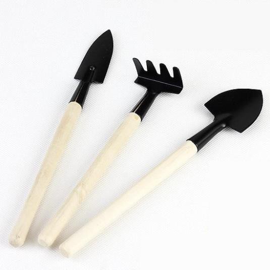 Bộ Dụng Cụ Làm Vườn Mini 3 Món Tiện Dụng