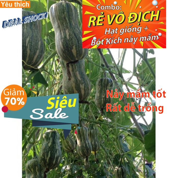 [Combo rẻ vô địch HẠT GIỐNG + GÓI HỖ TRỢ NẢY MẦM] - 3 HẠT GIỐNG BÍ ĐỎ HỒ LÔ