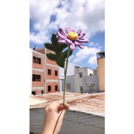 Hoa len handmade-Cúc-Purple daisy