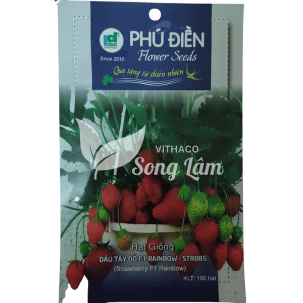 Hạt giống Dâu Tây Đỏ F1 gói 100 hạt