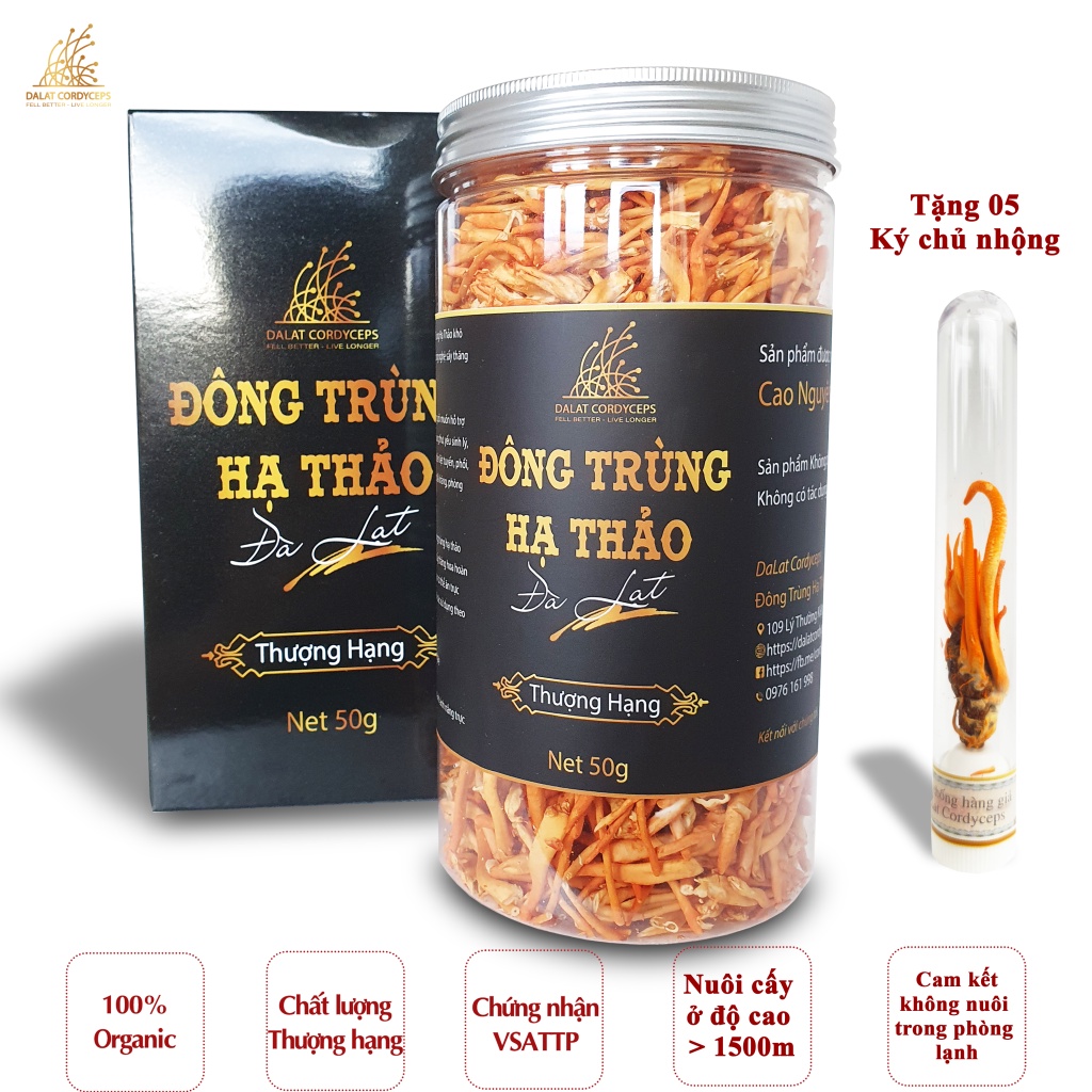 Mã BMLT100] Nấm đông trùng hạ thảo khô sấy thăng hoa (50gr) - Nuôi ...