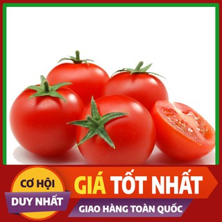 Hạt giống Cà Chua Cao Sản