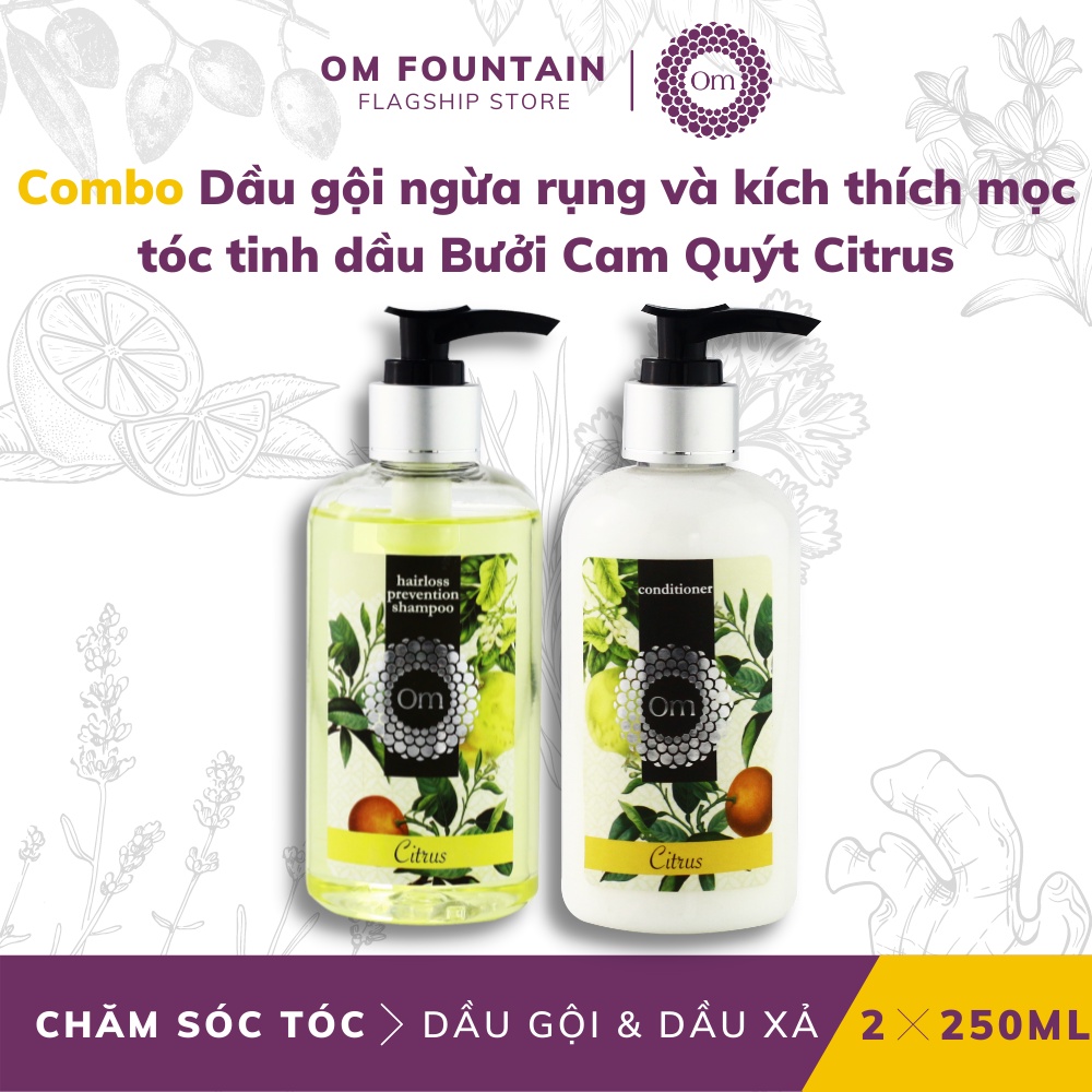 Combo Dầu gội ngừa rụng và kích thích mọc tóc tinh dầu Bưởi Cam Quýt Citrus 250ml - Om Fountain