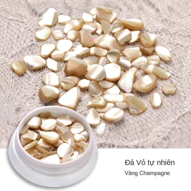 Phụ kiện đá nhân tạo kiểu vỏ sò trang trí móng tay nghệ thuật màu vàng đồng sâm panh độ bóng cao phong cách Nhật Bản