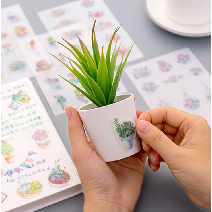 Set 6 tập sticker trang trí cây xương rồng Cantus