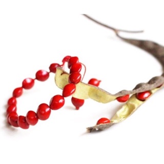 Vòng tay hồng đậu tình yêu