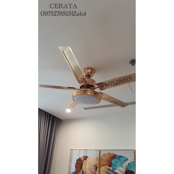 Quạt Trần DC Inverter BK6-GOLD Promax Lõi Đồng Full 6 Cấp Độ Gió, 3 Chế Độ Đèn LED Lắp Cho Mọi Không Gian