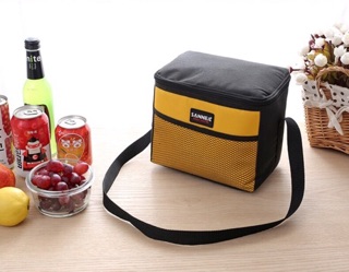 Combo túi giữ nhiệt + 4 túi đá khô Acool