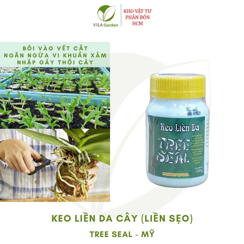 KEO LIỀN DA CÂY TREE SEAL, Keo Liền Sẹo Mỹ, keo liền da morrisons