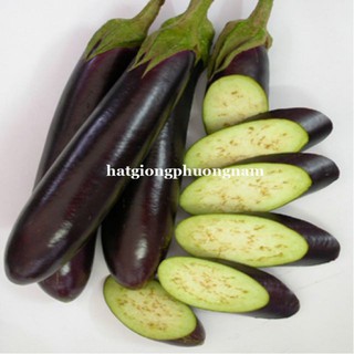 Hạt giống Cà Tím Dài F1 1gram