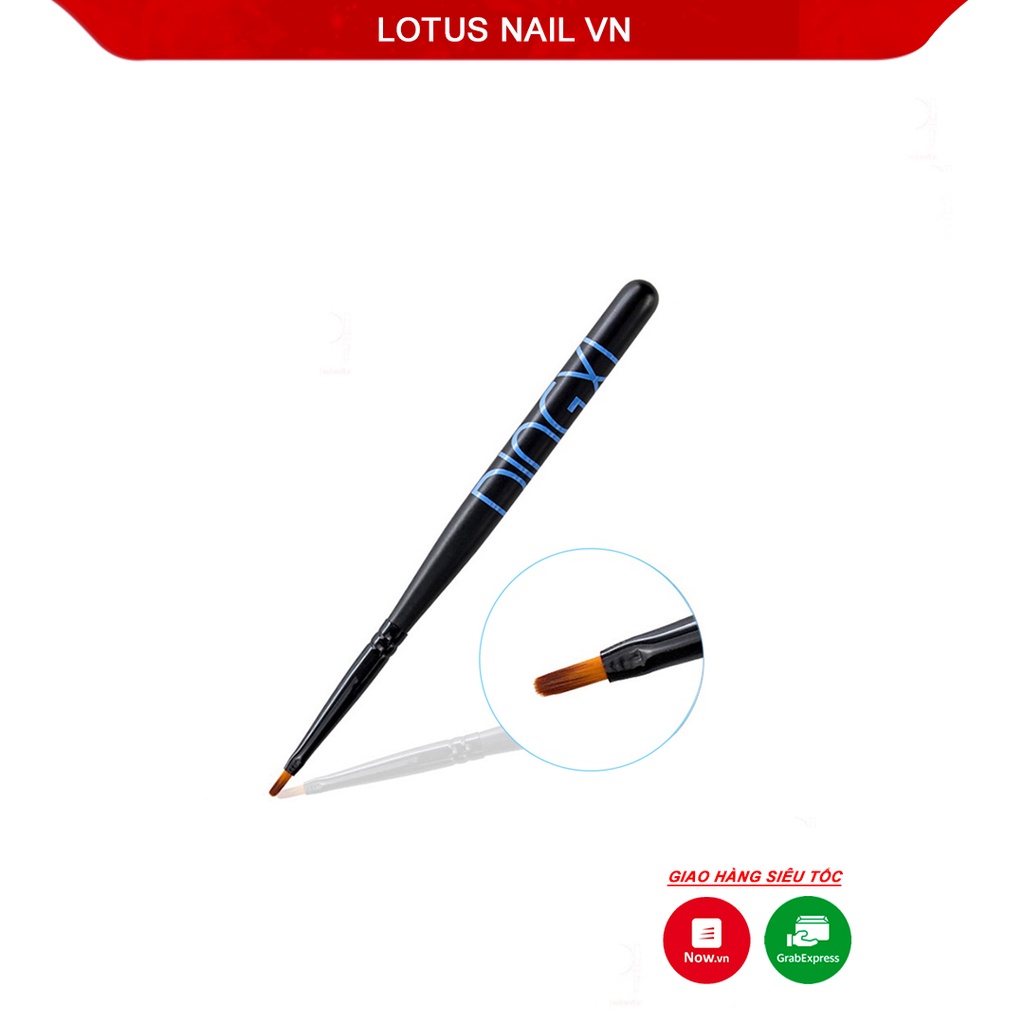 Cọ vẽ hoa cúc Dingxi hàng cao cấp