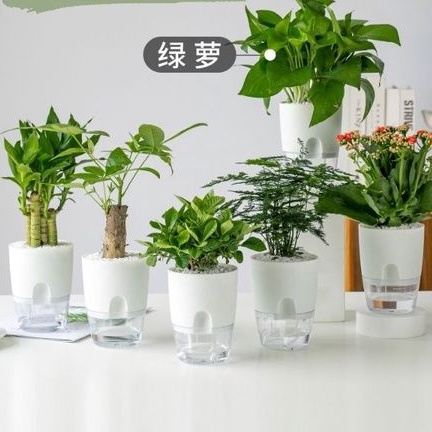 Chậu cây tự dưỡng OLiz Trắng để bàn Chậu cây mini tiểu cảnh trang trí văn phòng bàn làm việc