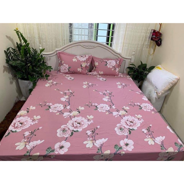 Sét ga gối cotton Hàn m6*2m
