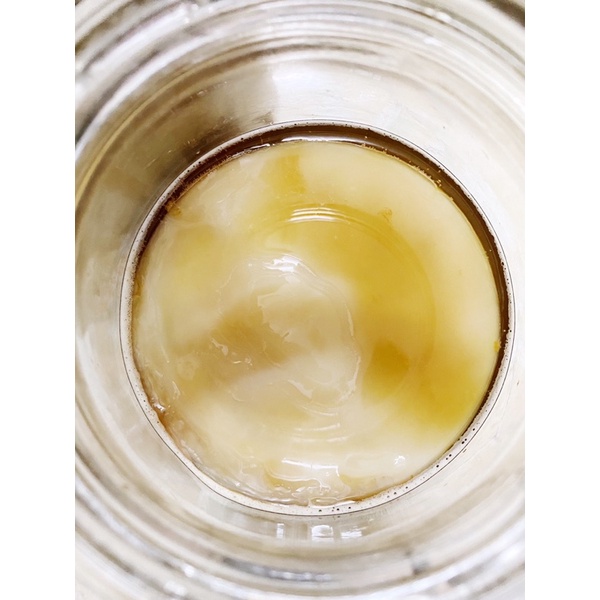 NẤM SCOBY LÀM KOMBUCHA