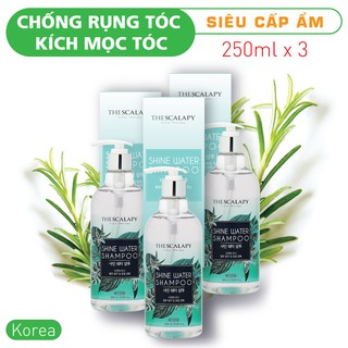 Combo dầu gội trị rụng tóc, kích thích mọc tóc, siêu dưỡng ẩm, thảo dươc Hàn Quốc - Shine Water Shampoo 3 chai 250ml