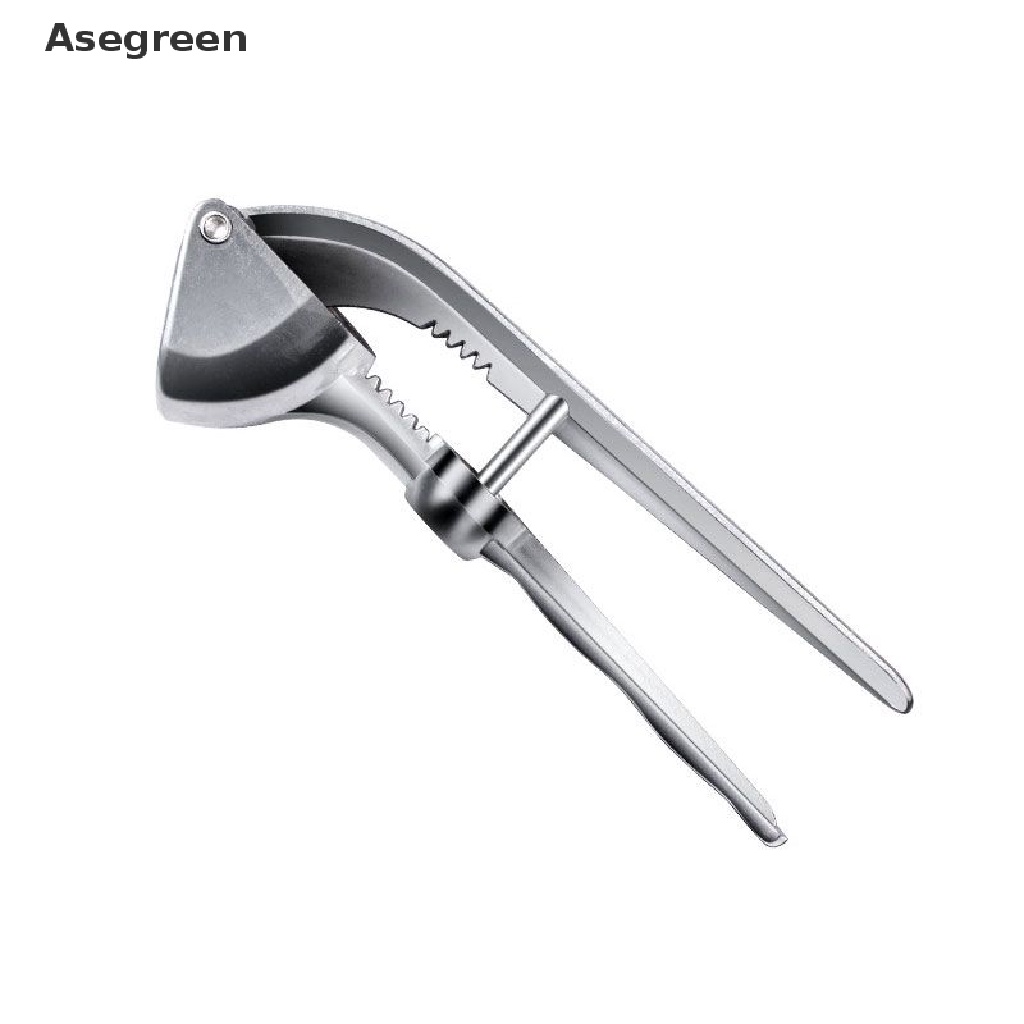 1 Dụng Cụ Nghiền Tỏi Bằng Thép Không Gỉ