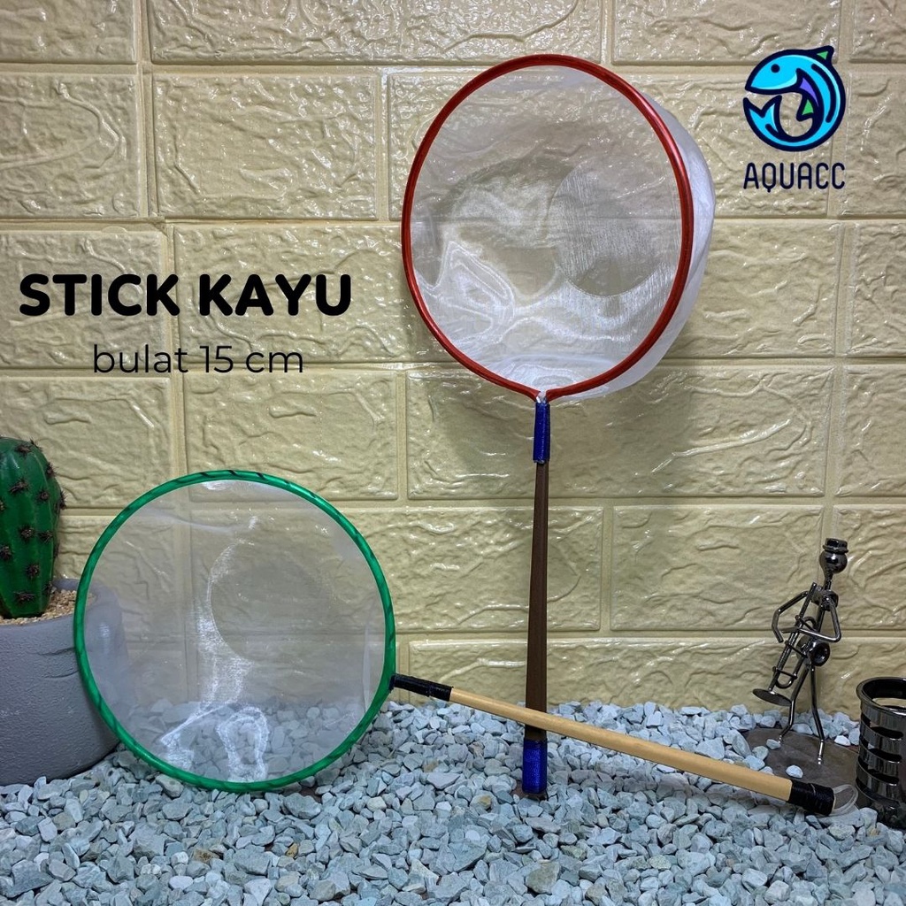 Thanh Gỗ Lọc Nước Đường Kính 15cm Chuyên Dụng Cho Giảng Dạy Vỏ Nghệ Thuật
