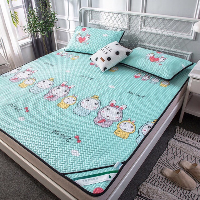 CHIẾU ĐIỀU HOÀ TENCEL CAO CẤP TẶNG 2 VỎ GỐI( IB CHỌN MẪU)sẵn hàng