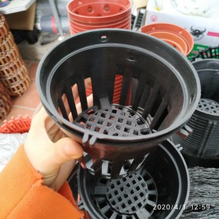 10 Chậu nhựa đen Phi 12cm trồng lan