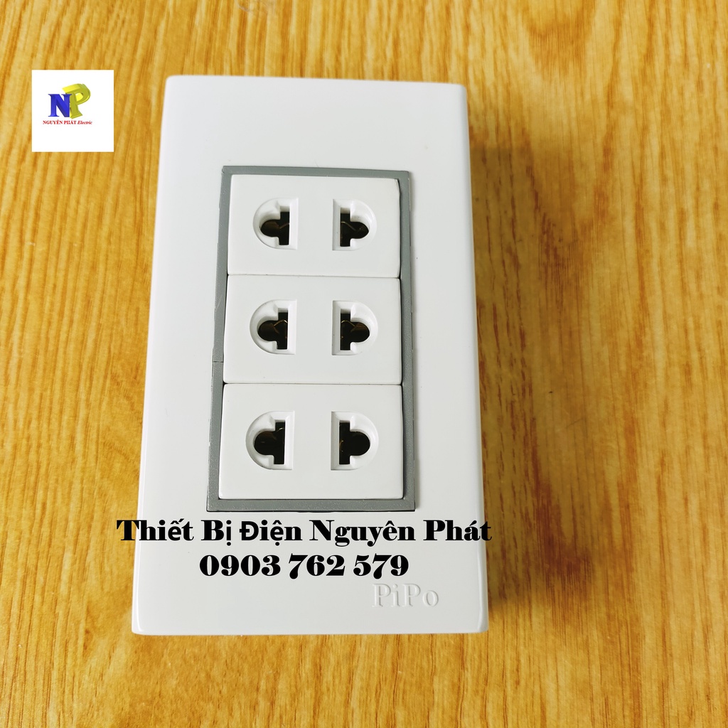 Taplo Giả Âm PIPO Ráp Sẳn PN10 - Hàng Cao Cấp