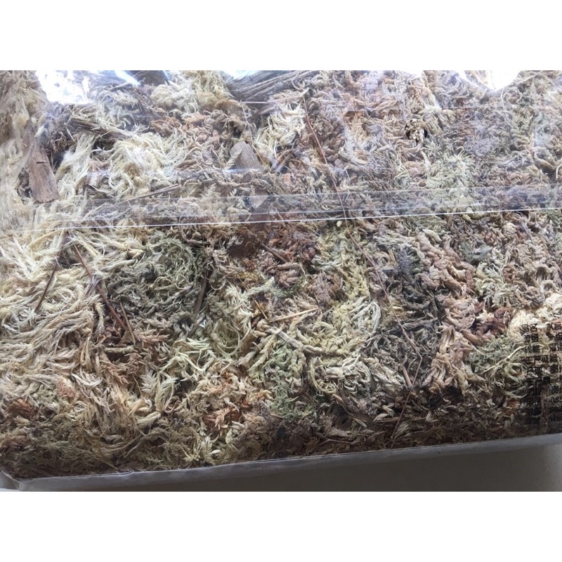 Tảo nén  - giá thể trồng lan và hoa cây cảnh