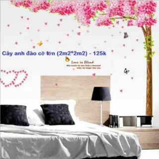 Decal dán tường cây anh đào