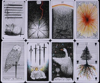 Bài Tarot The Wild Unknown