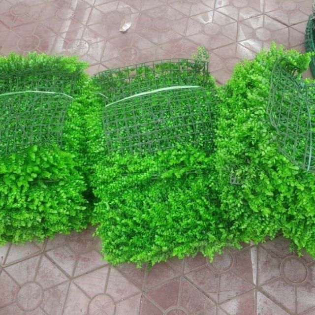 4 tấm Cỏ nhân tạo loại 1 cỏ tai chuột 40×60