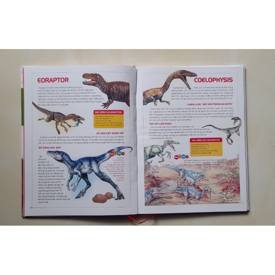 Sách- Atlas Động Vật - Vương Quốc Khủng Long