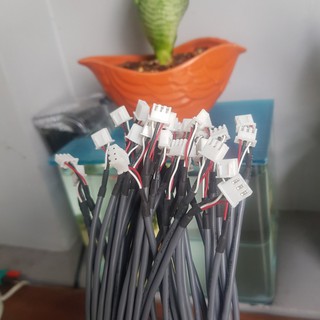 Dây tín hiệu 3 Pin chống nhiễu cho amply (1 sợi)