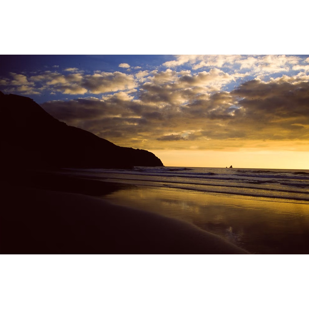 Phim Fujichrome Velvia ISO 50, Màu Color Reversal, 135/35mm x 36 Kiểu, In Date Cho Máy Chụp Ảnh Film - LIIQ Flash