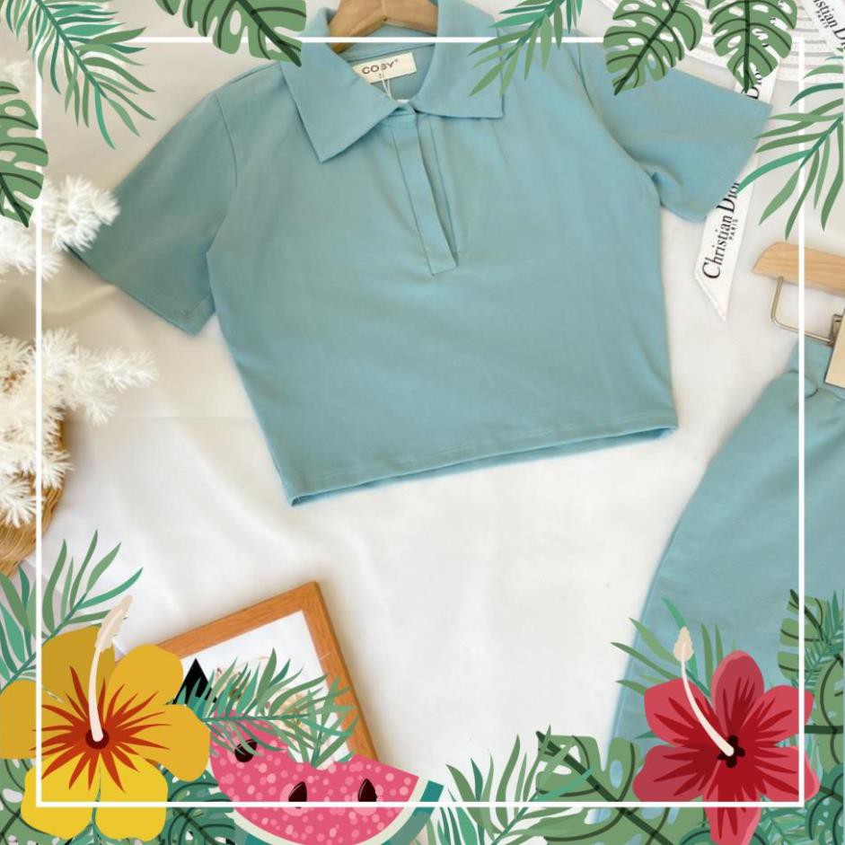 [SALE_50%] SET COTTON TĂM LỲ 2021 - CHẤT LIỆU COTTON CAO CẤP - 4 MÀU XANH/ ĐEN/ TRẮNG/NUDE - [NHẬP KHẨU] [FLASHSALE] | BigBuy360 - bigbuy360.vn