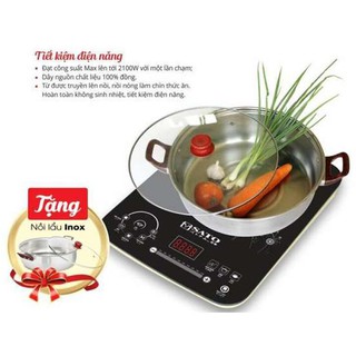 Bếp Từ SATO STB-203
